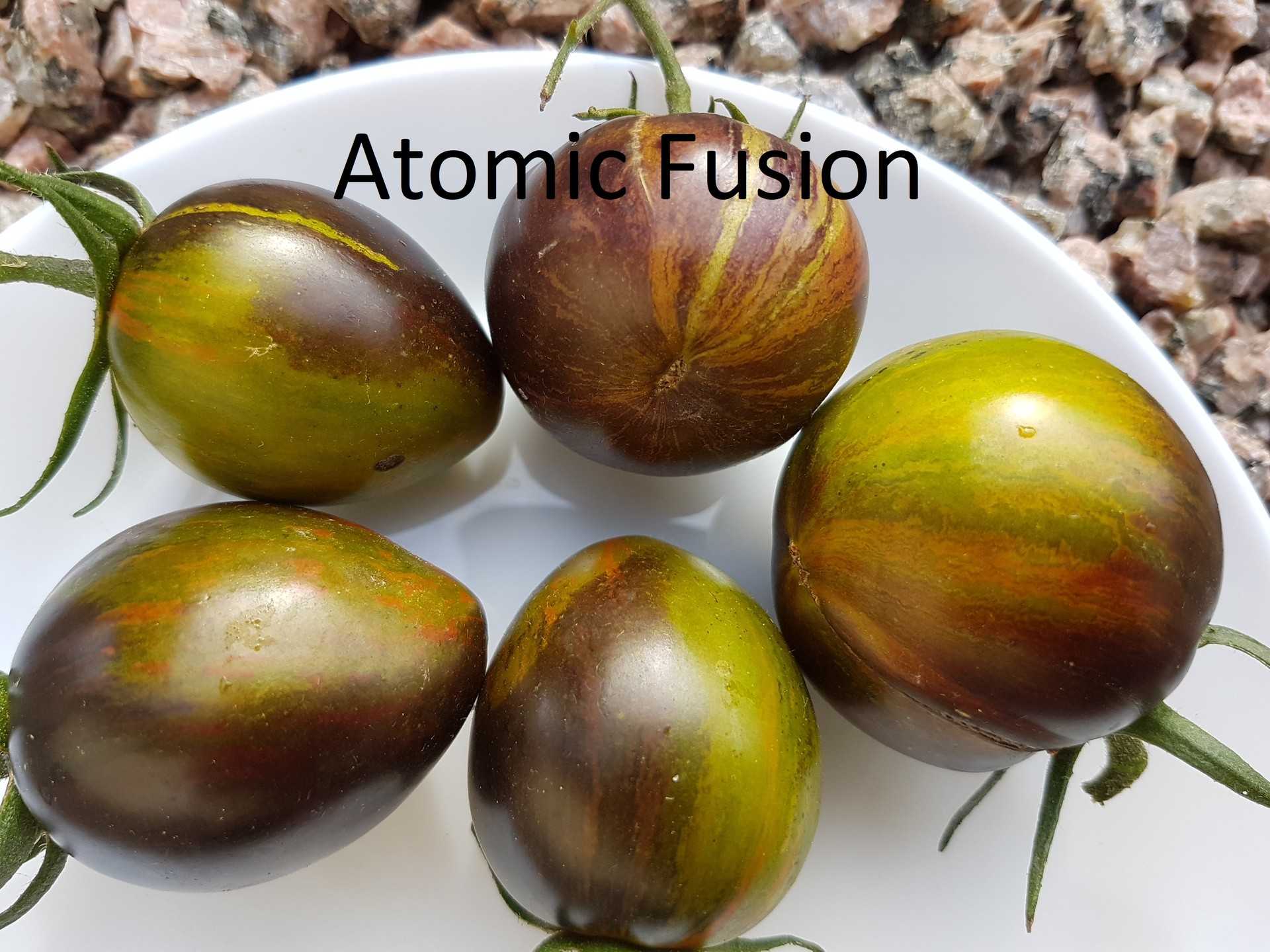 Atomic Fusion