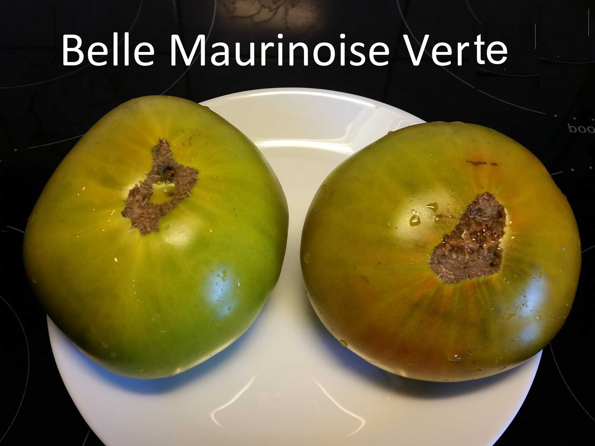 Belle Maurinoise Verte 