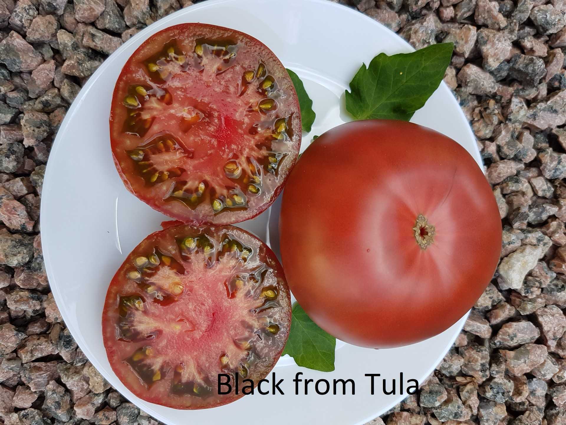 Black from Tula - Tulskij Chornyj