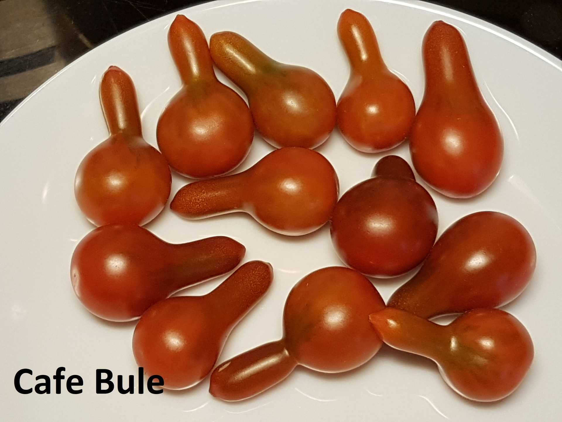 Cafe Bule