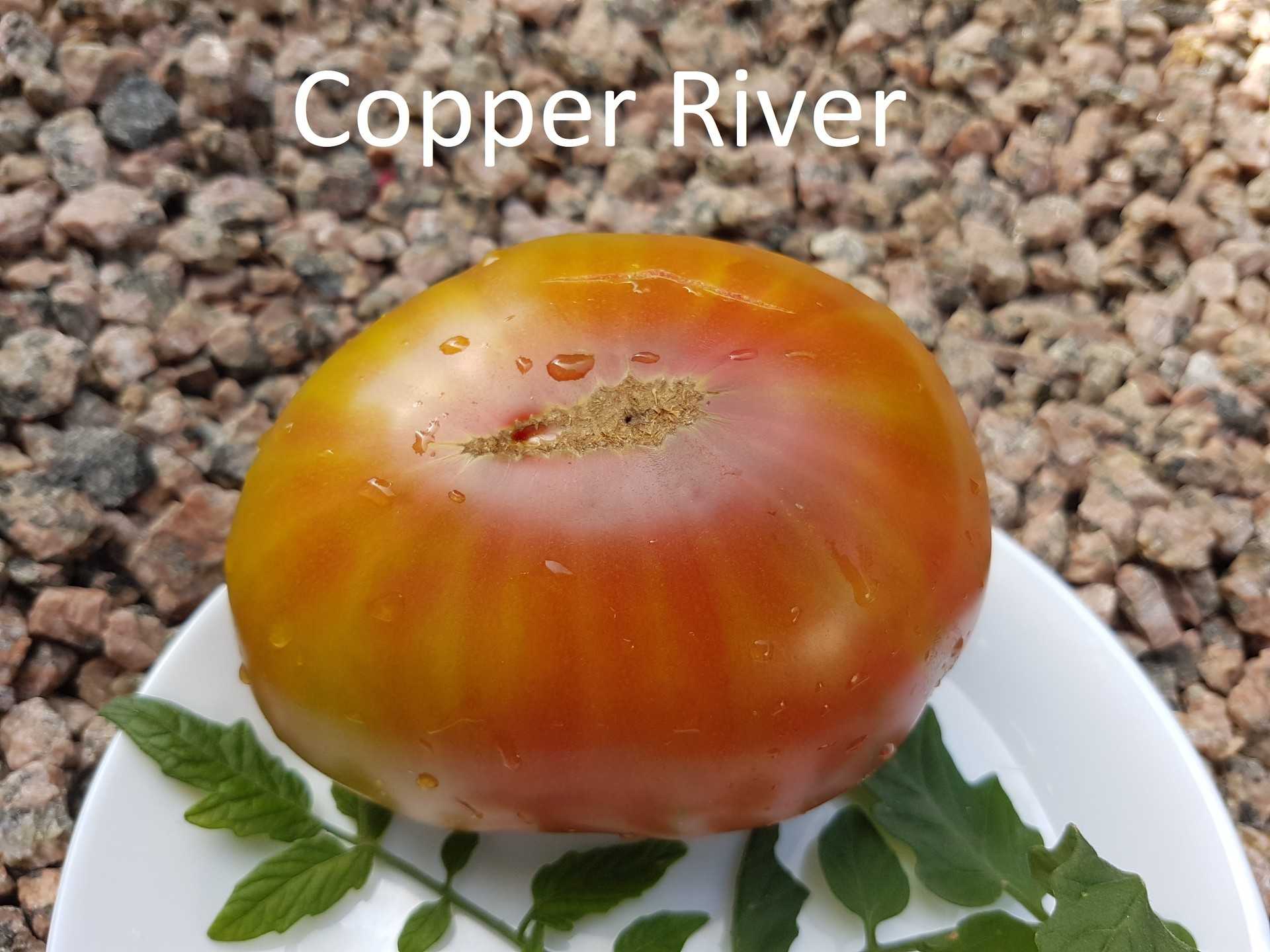 Copper River