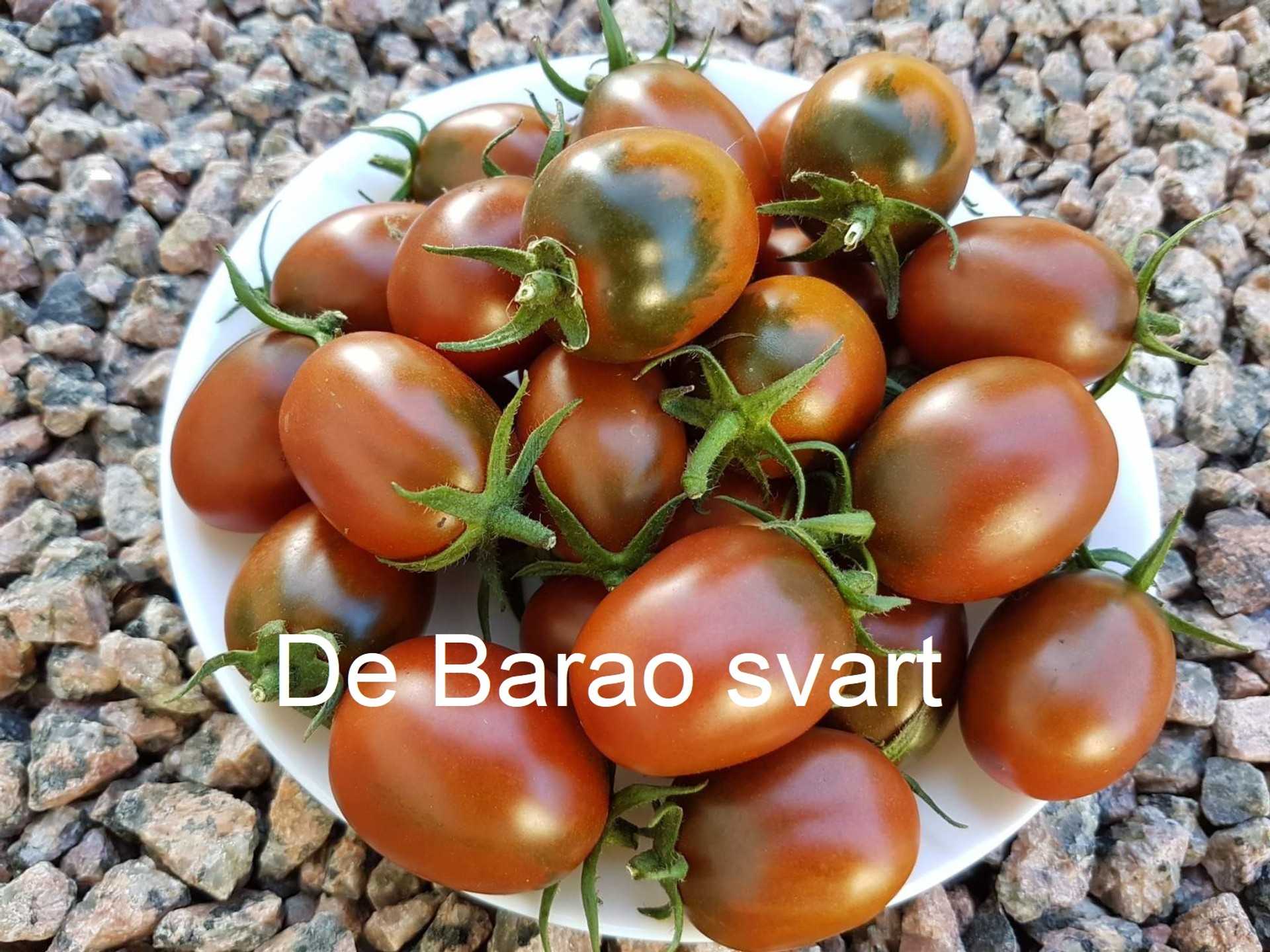 De Barao svart