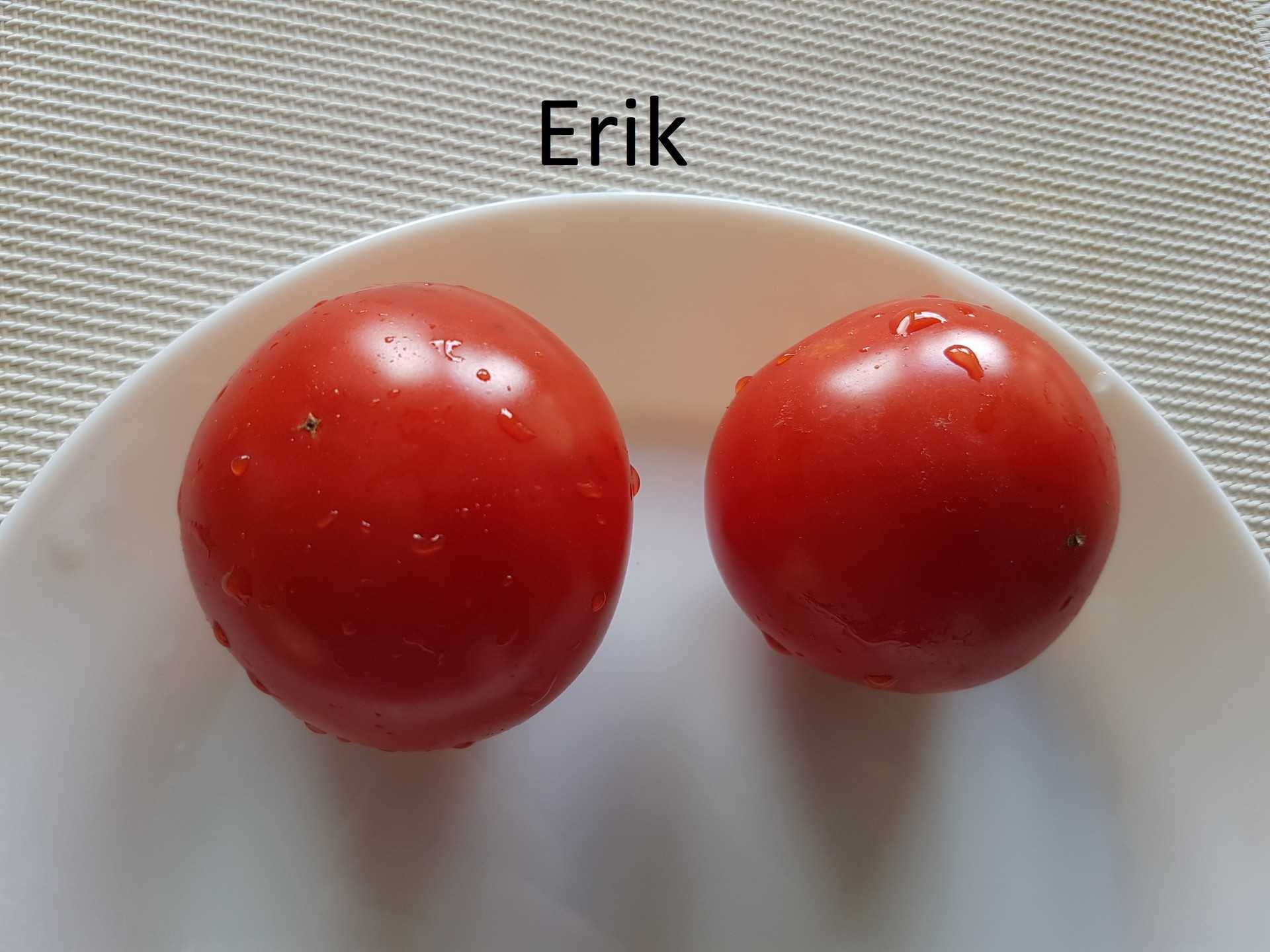 Erik