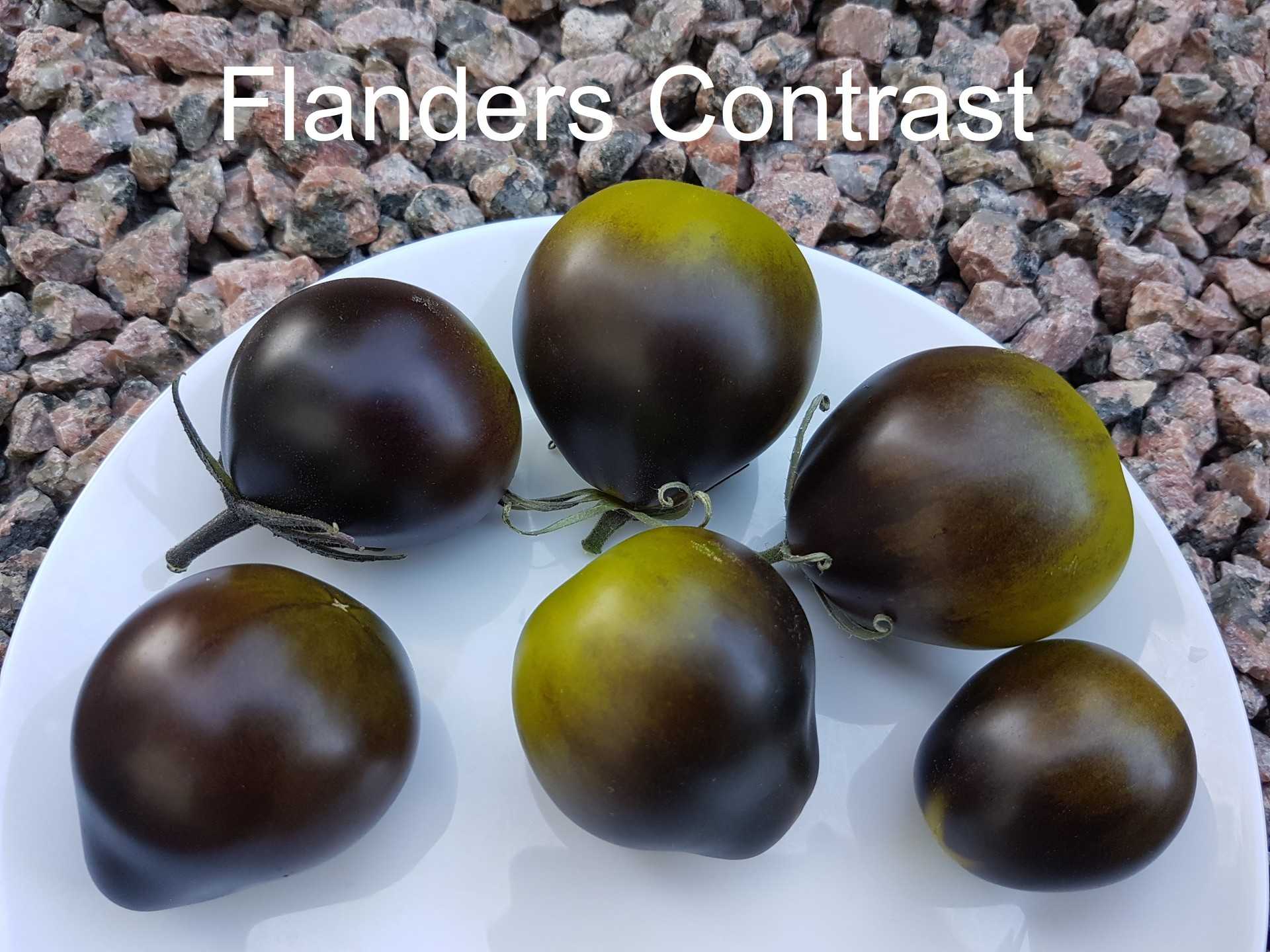 Flander's Contrast