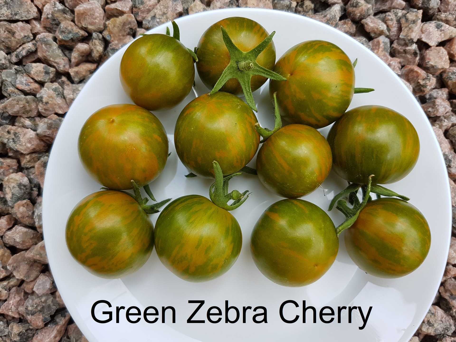 Green Zebra Cherry - Mini Green Zebra