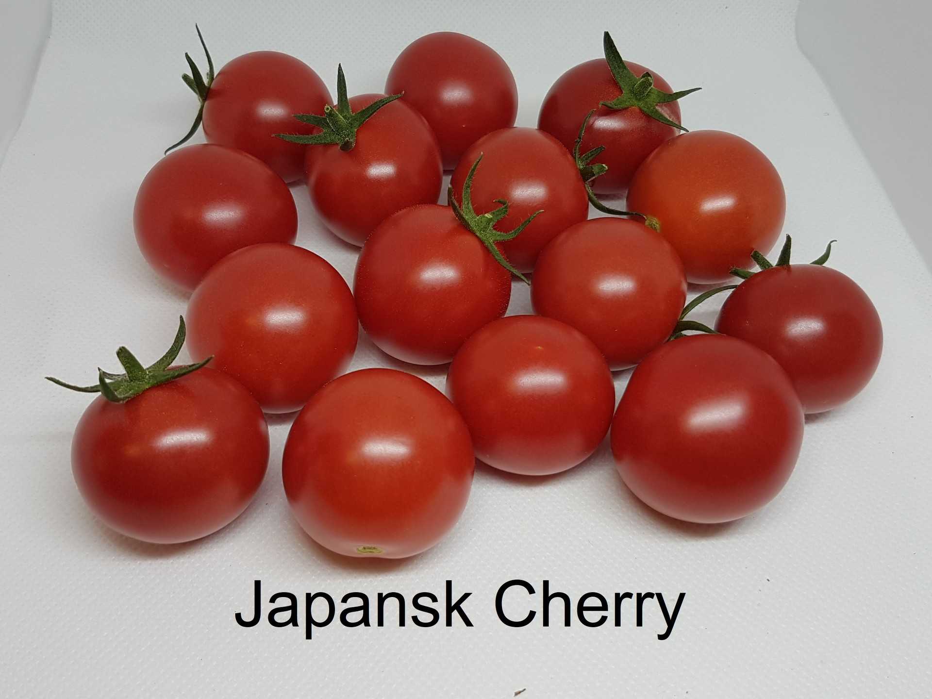Japansk Cherry