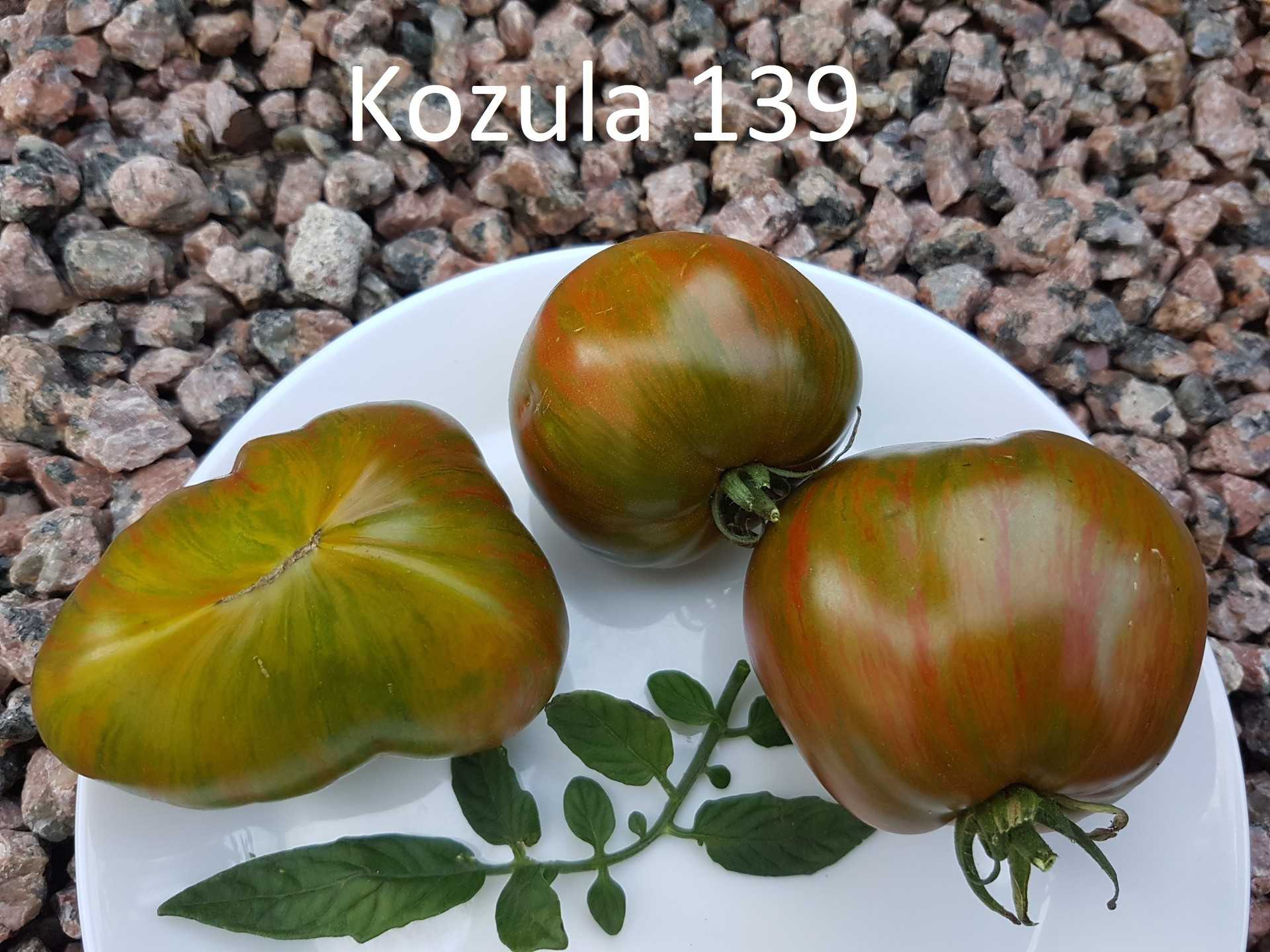 Kozula 139/1