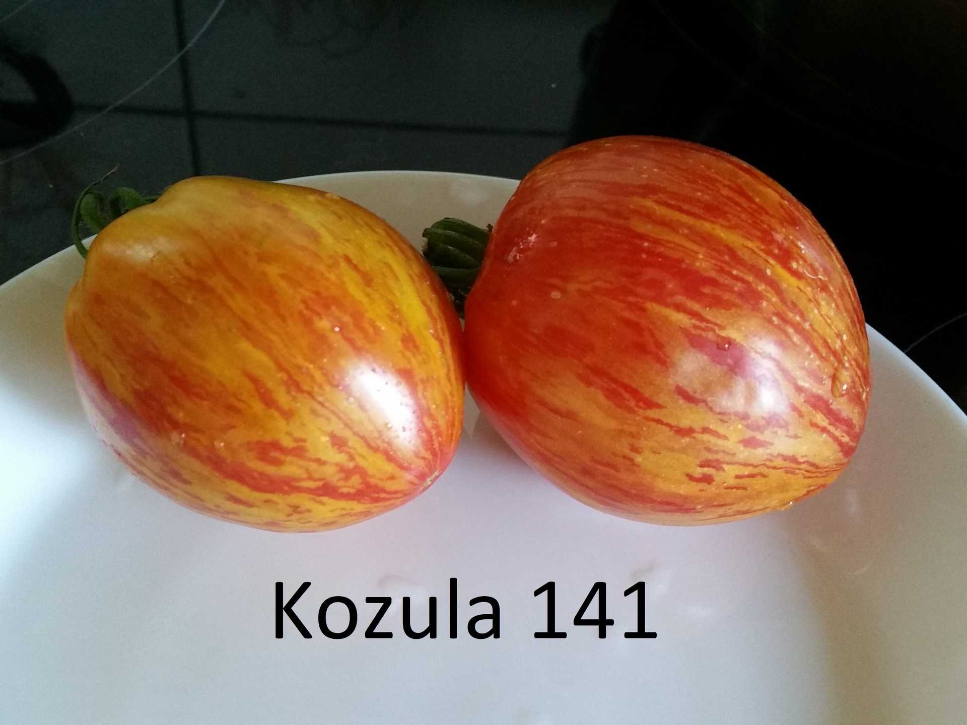 Kozula 141