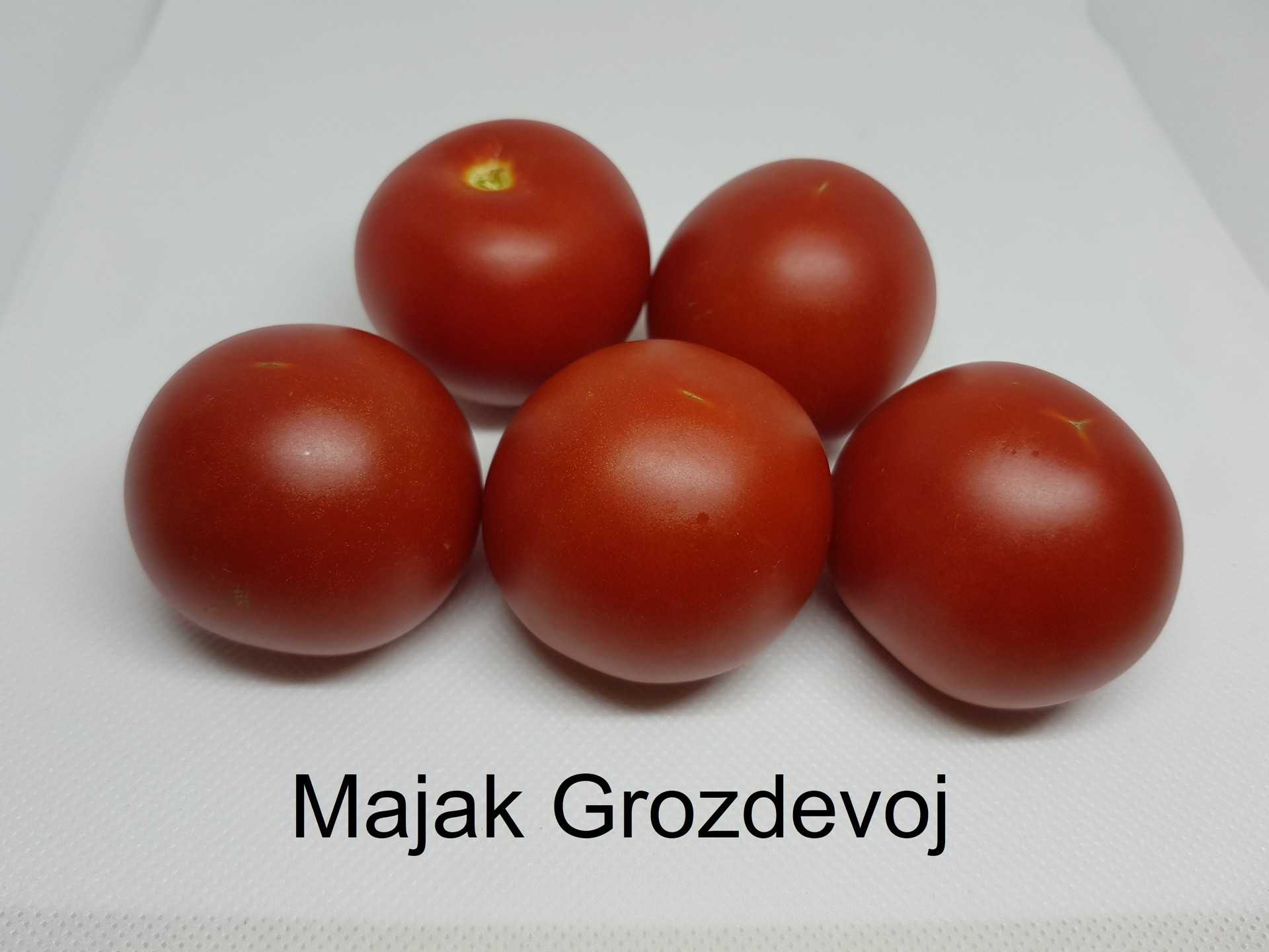 Majak Grozdevoj