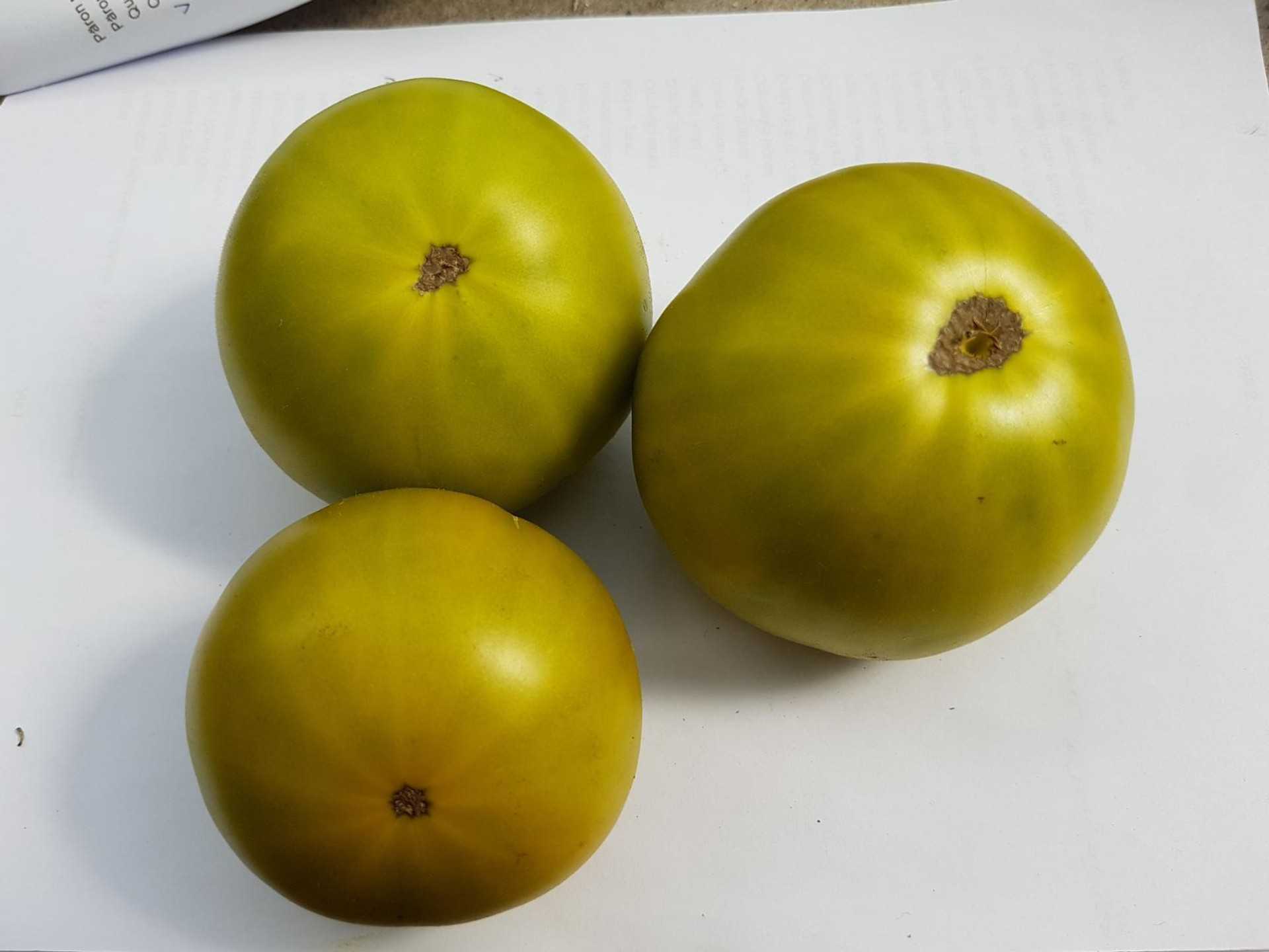 Malakhitovaja Shkatulka, Malakhit Box