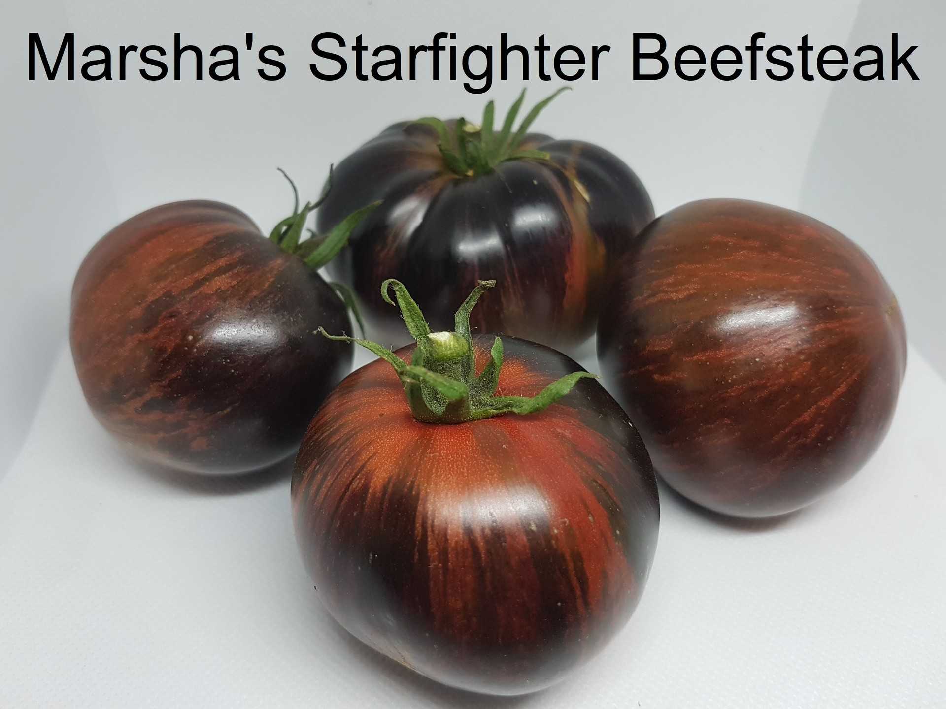 Marsha's Starfighter Beefsteak