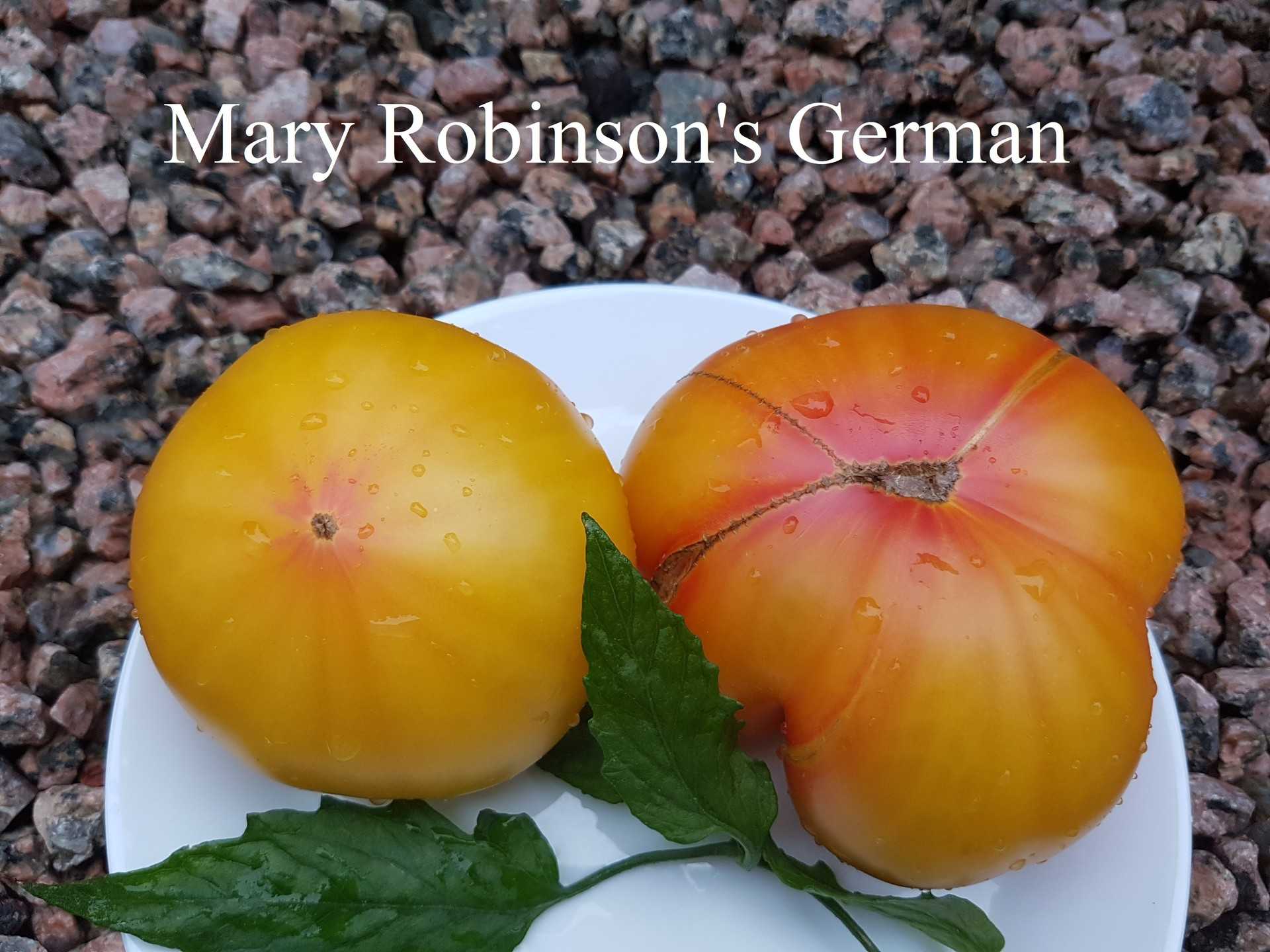 Mary Robinson's German