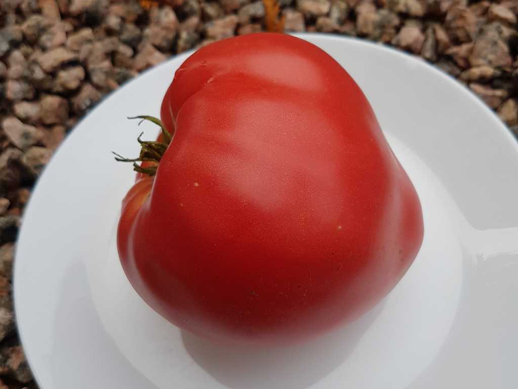 Mrs. Schlaubaugh's Famous Strawberry 