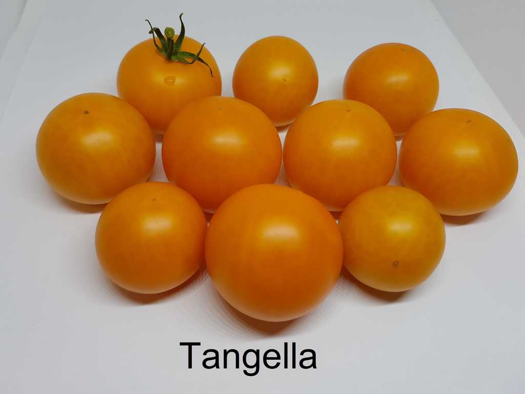 Tangella
