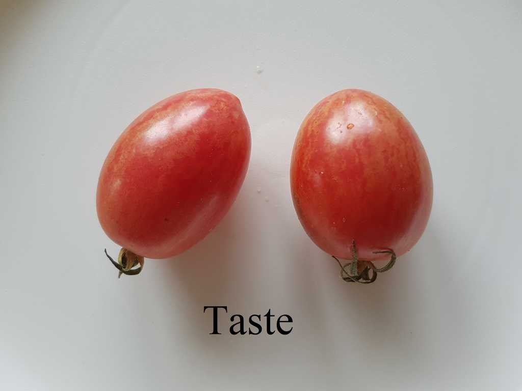 Taste