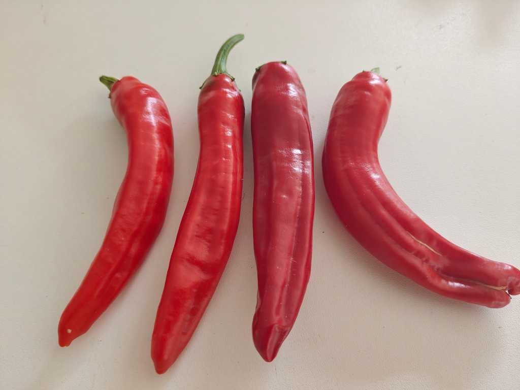 Chili Abchazskij Ostryj 15-30 000 shu)