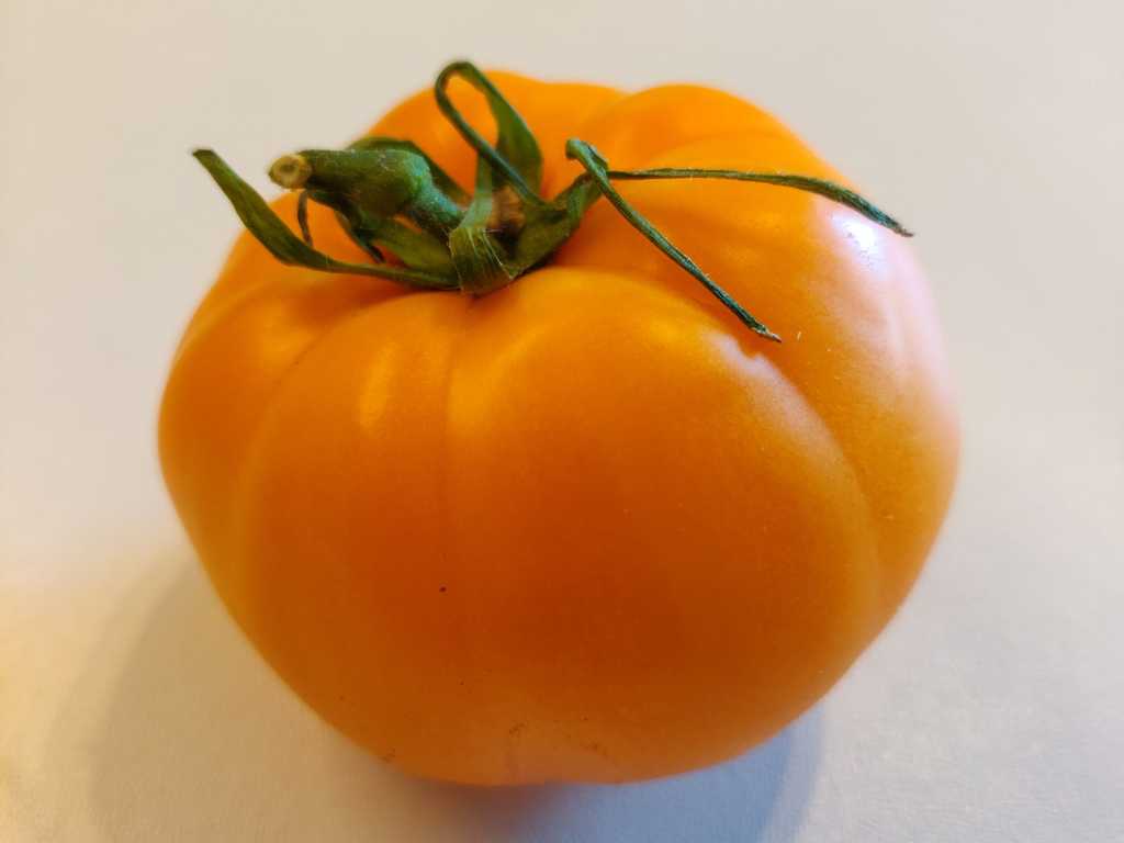 Amish Orange Sherbet