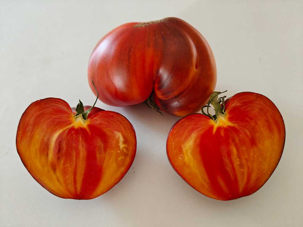 Ananasnyj Serzhant, Pineapple Sergeant