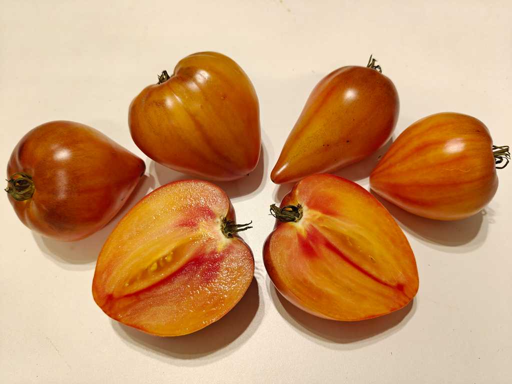 Ananasnyj Serzhant Rumänyj, Pineapple Rosy Sergeant