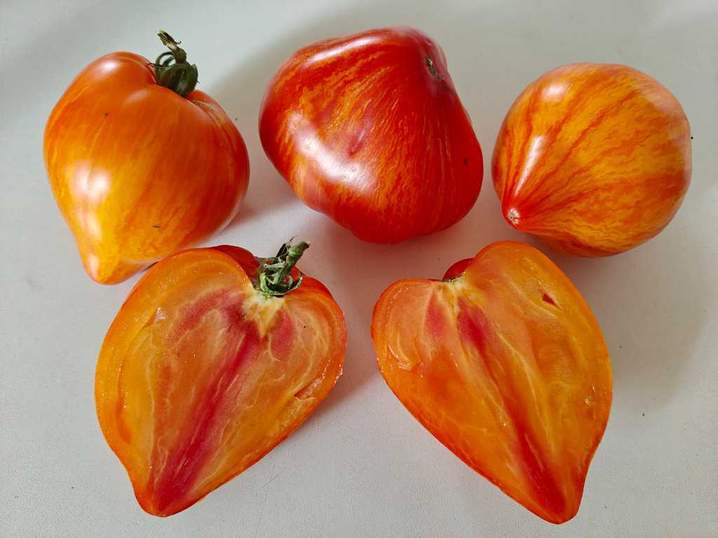 Arkansas Marvel Heart 