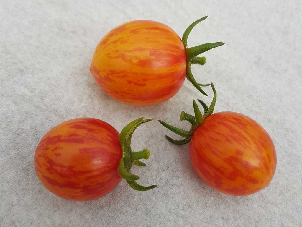 Artisan Golden Bumblebee