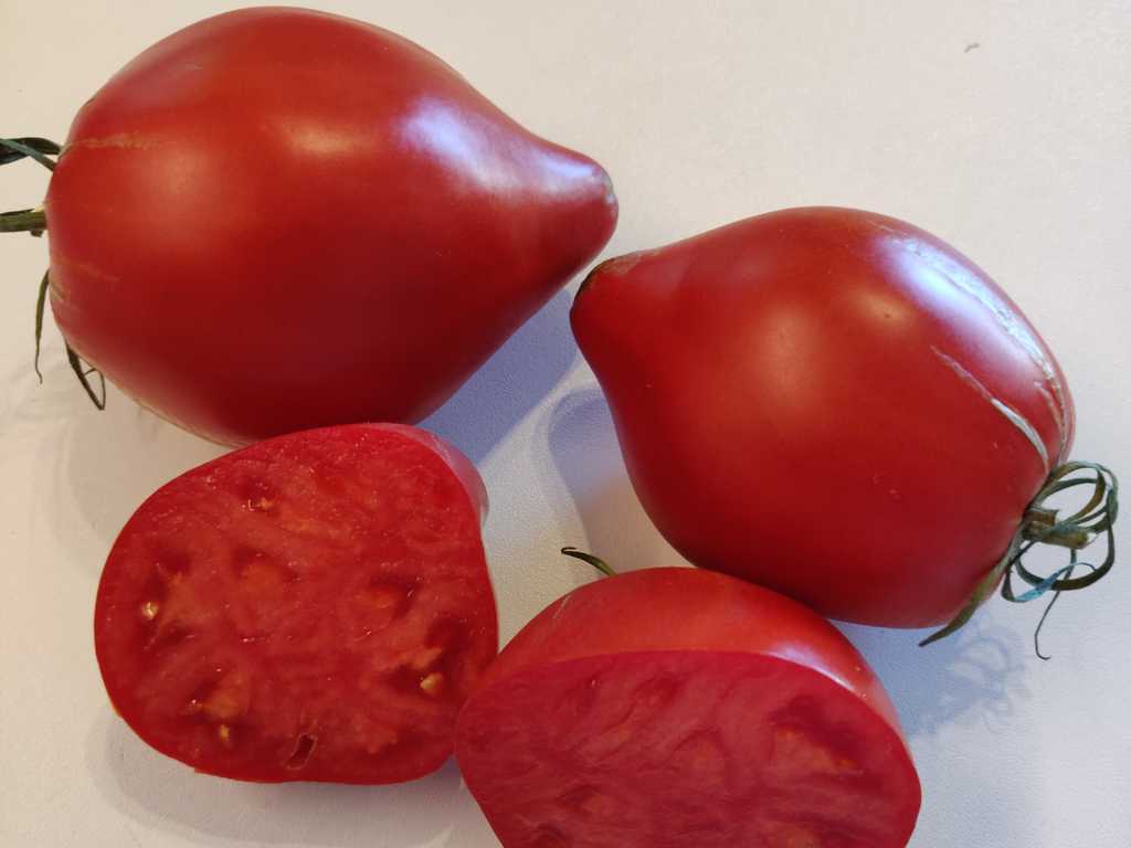 Aunt Svarlo Polish Plum