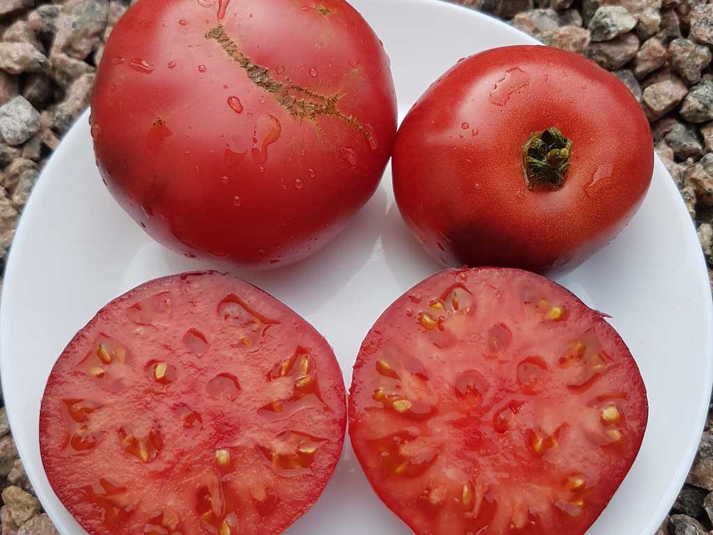 Azure Giant - Lazurnyj Gigant