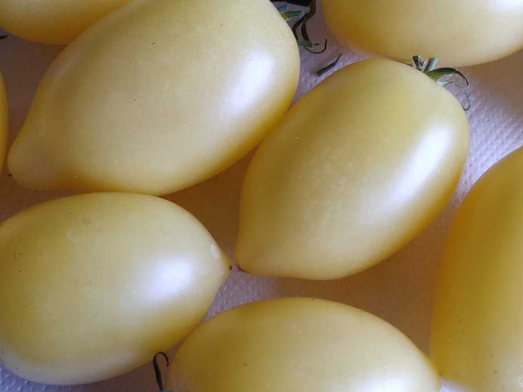 Banana Cream, Cream Sausage