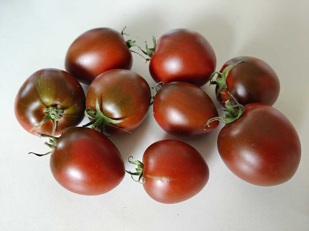 Black Gourmand, Chornaja Lakomka