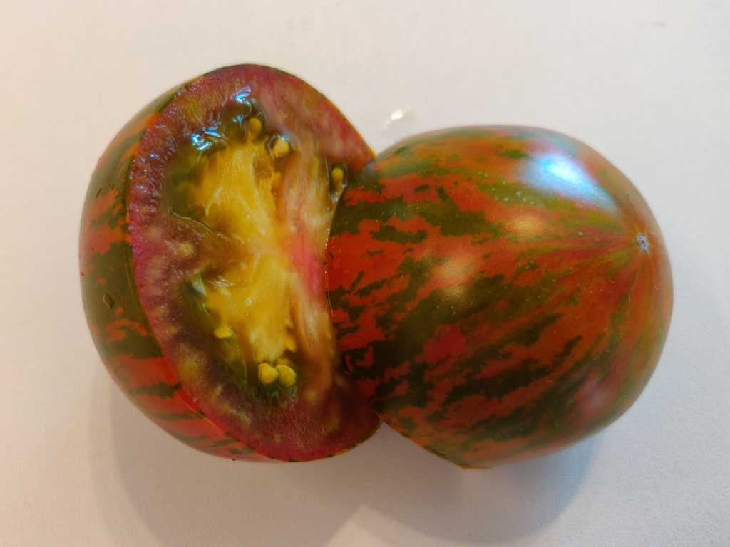 Bleeding Heart Green