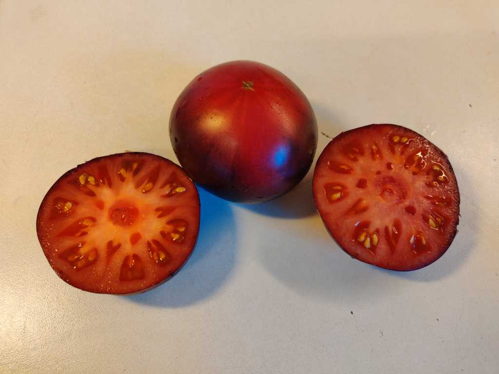 Blueberry Dessert, Chernichnyj Desert 