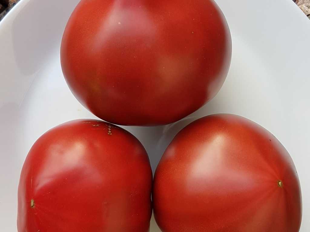 Cherokee Black Heart