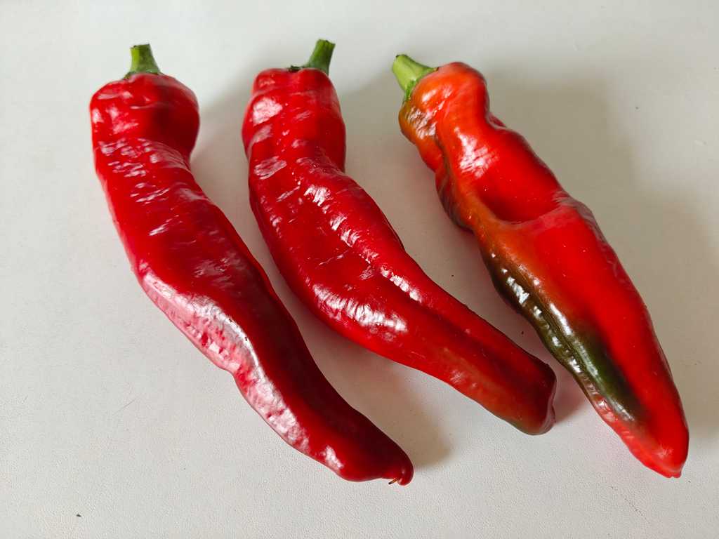 Chili Big Jim 500 och 5 000 SHU