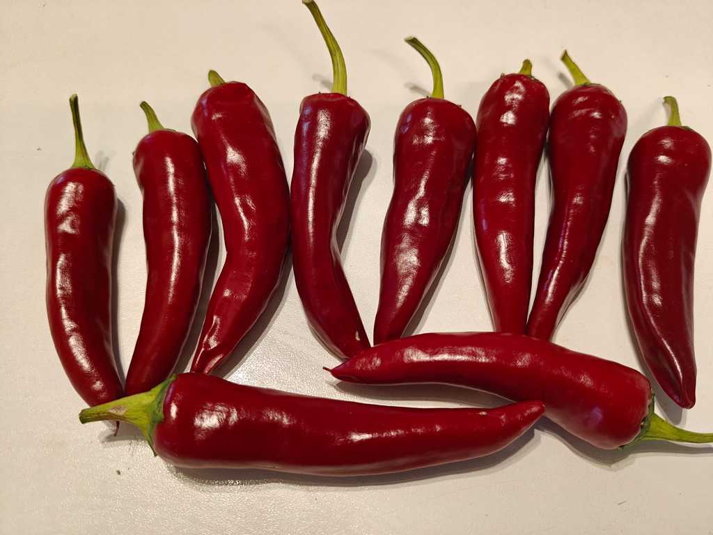 Chili Cayenne Lõng Slim tjock, 50 000 SHU