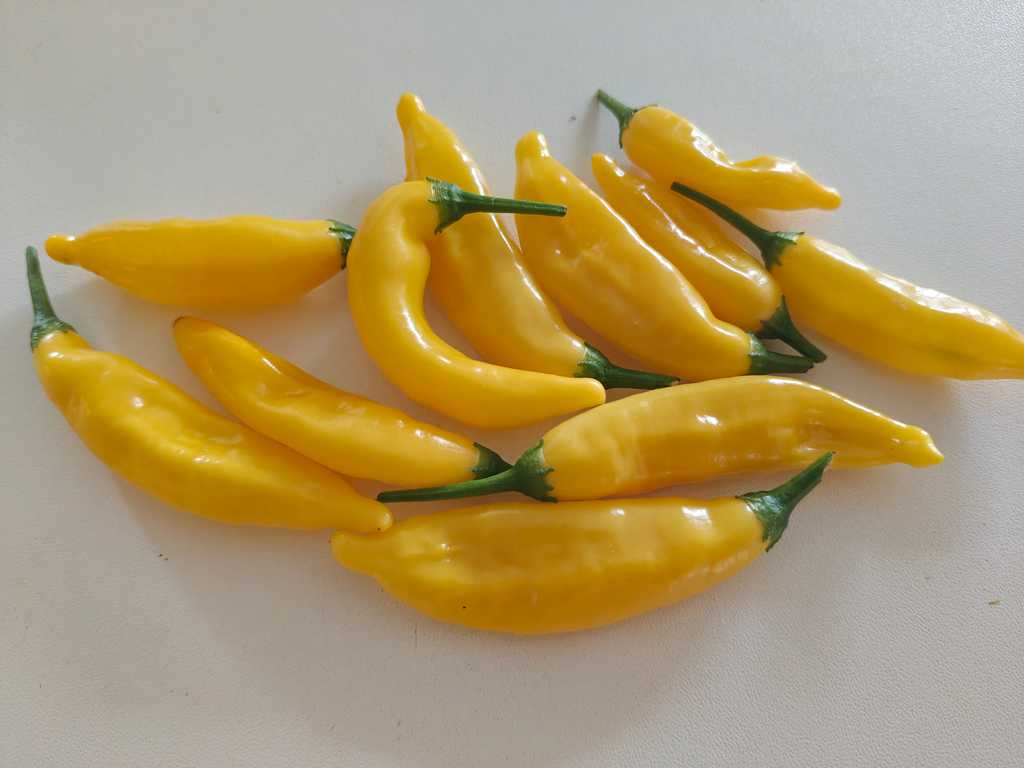Chili Hot lemon, 30.000-50.000 SHU