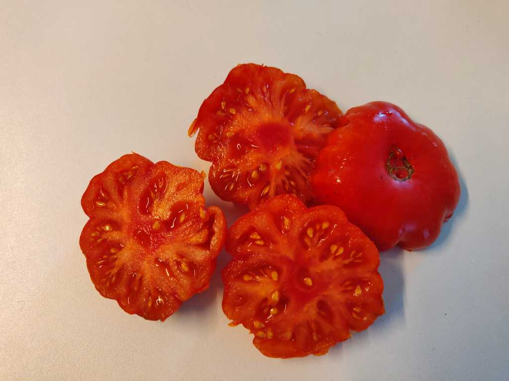 Costoluto Fiorentino