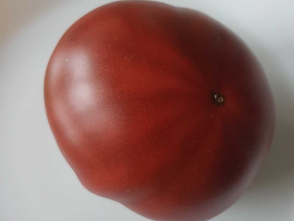 Dieticheskij Chempion (Diet Chempion)