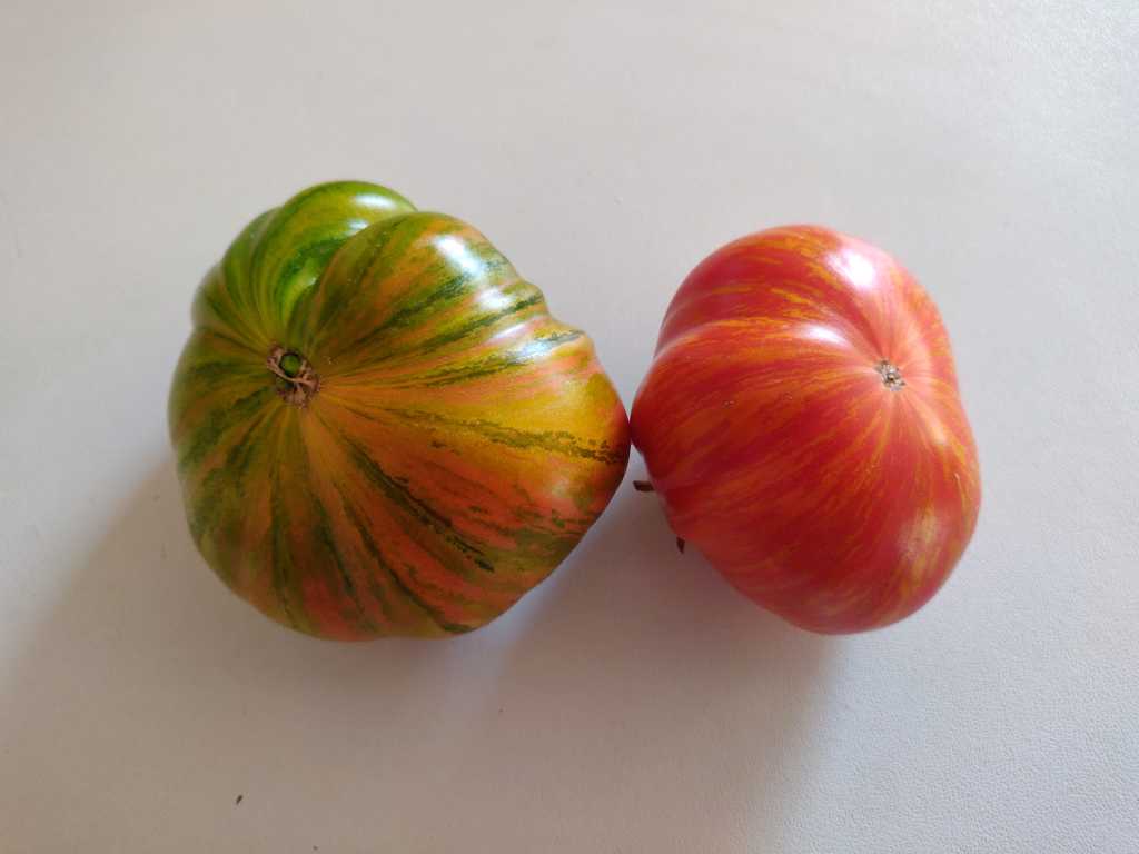 Don's Double Delight