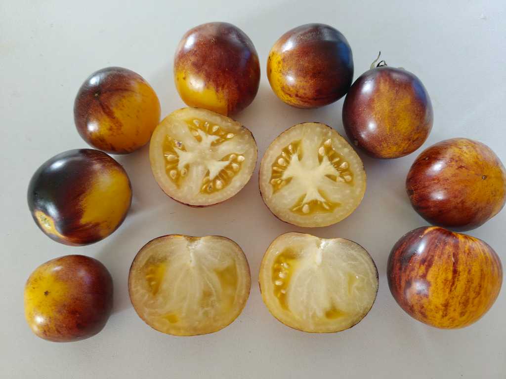 Dvojnaja Zizn Kolobka