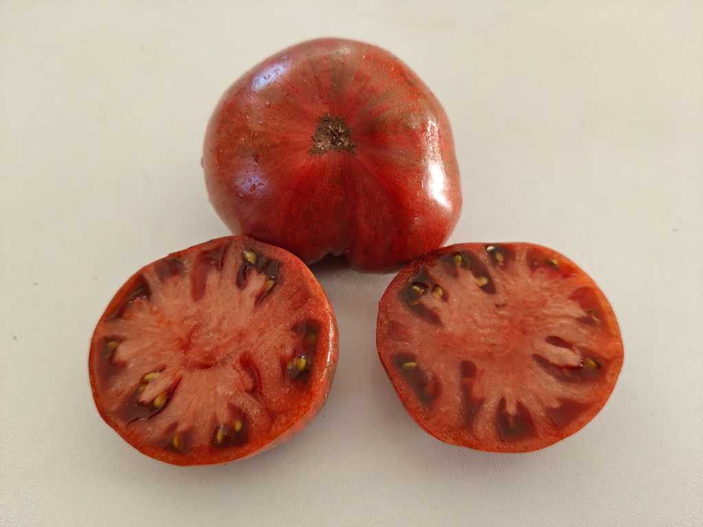 Dwarf Adelaide Festival