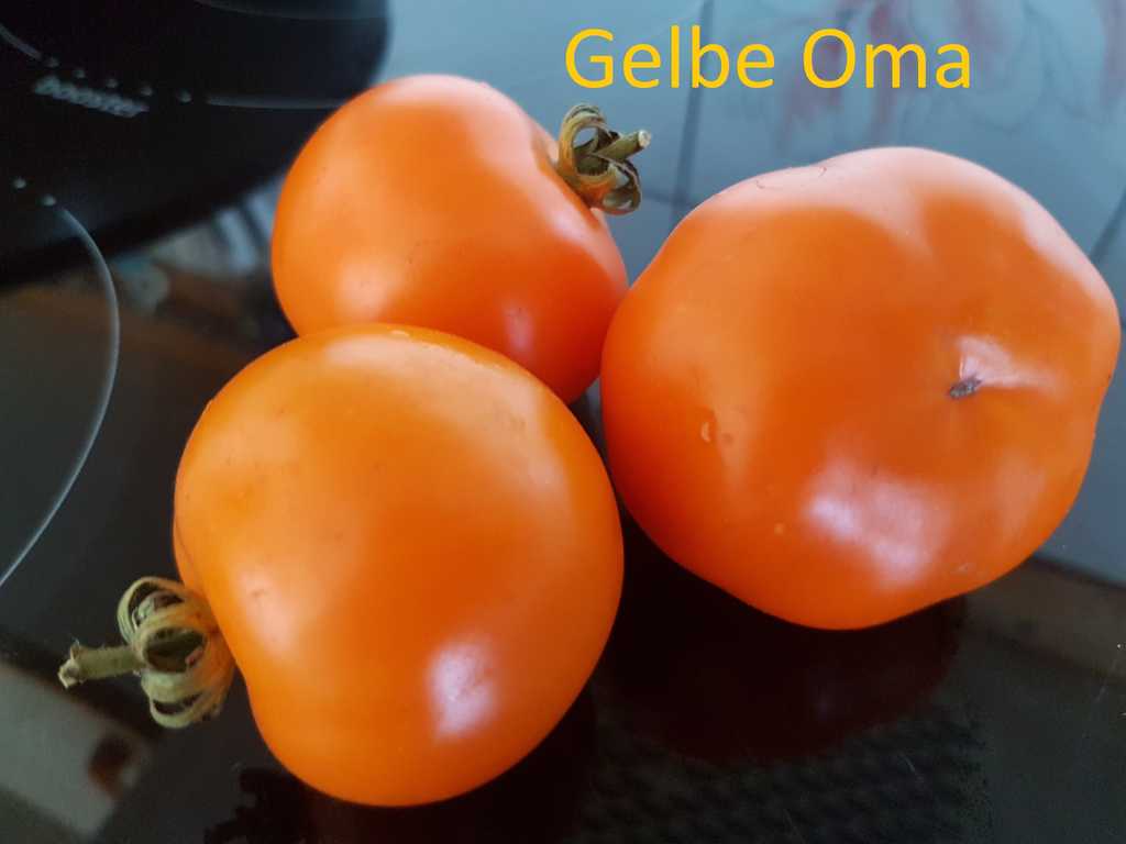 Gelbe Oma