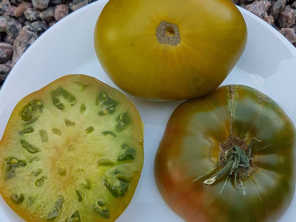 Green Sweety - Zelönaja Slastöna