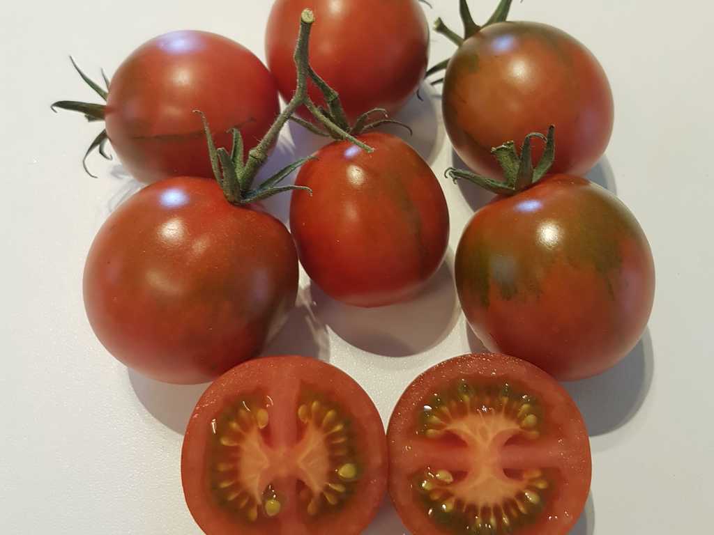 Haley's sweet mystery