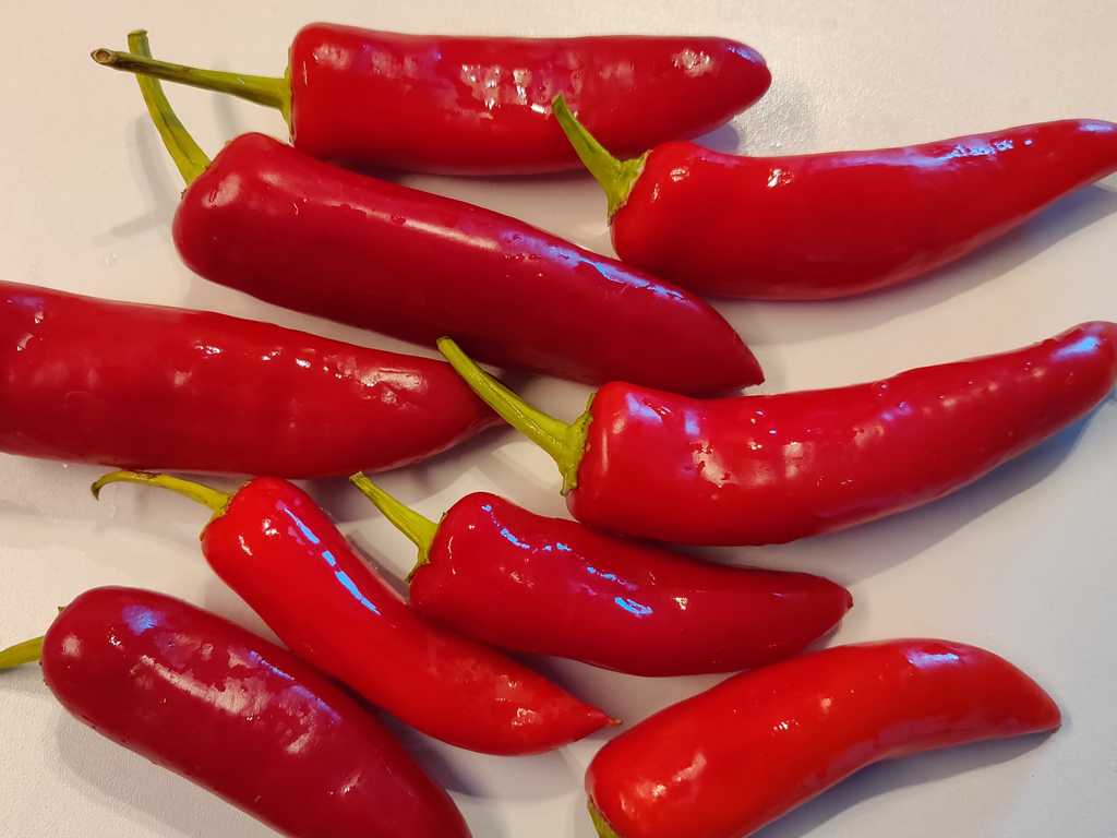 Chili Hot Banana, 1600 SHU 