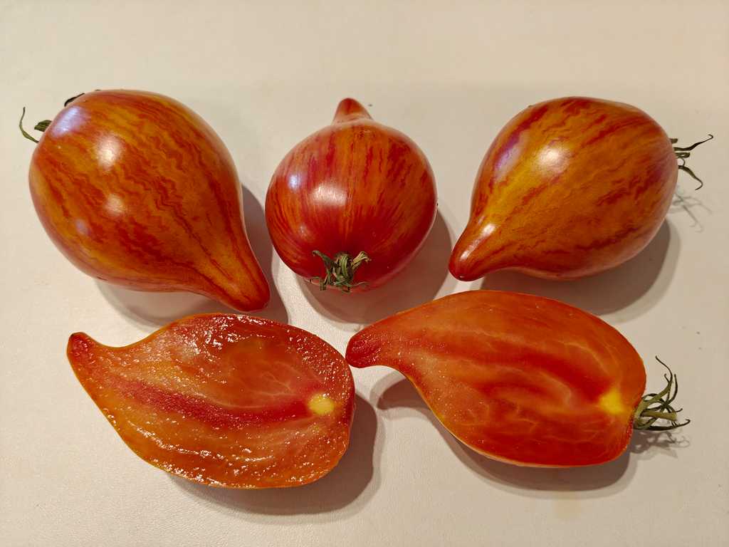 Iskushenie, Temptation