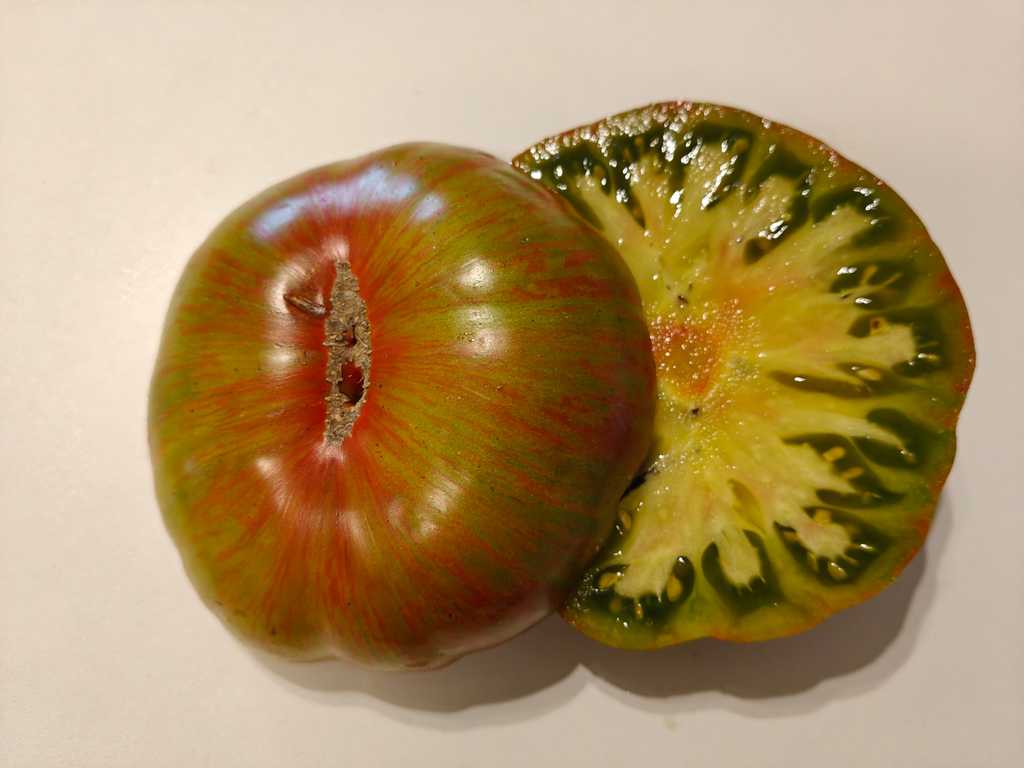 Ivuntänskij Velikan trikolor polosatyj 