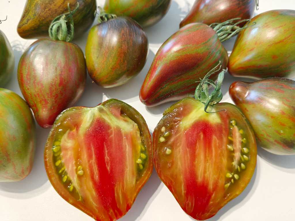 Jelena's Emerald Caramel