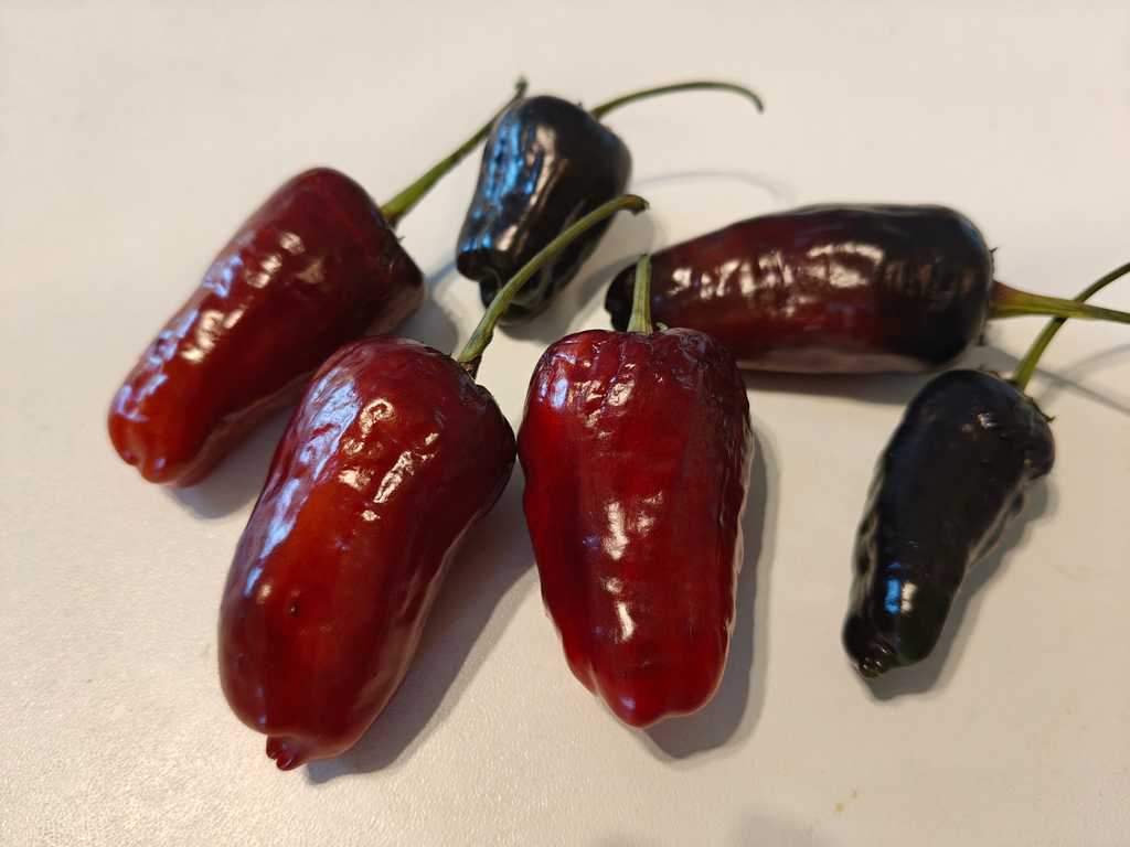 Chili Jalapeno Deadpool, 2,500–10,000 SHU