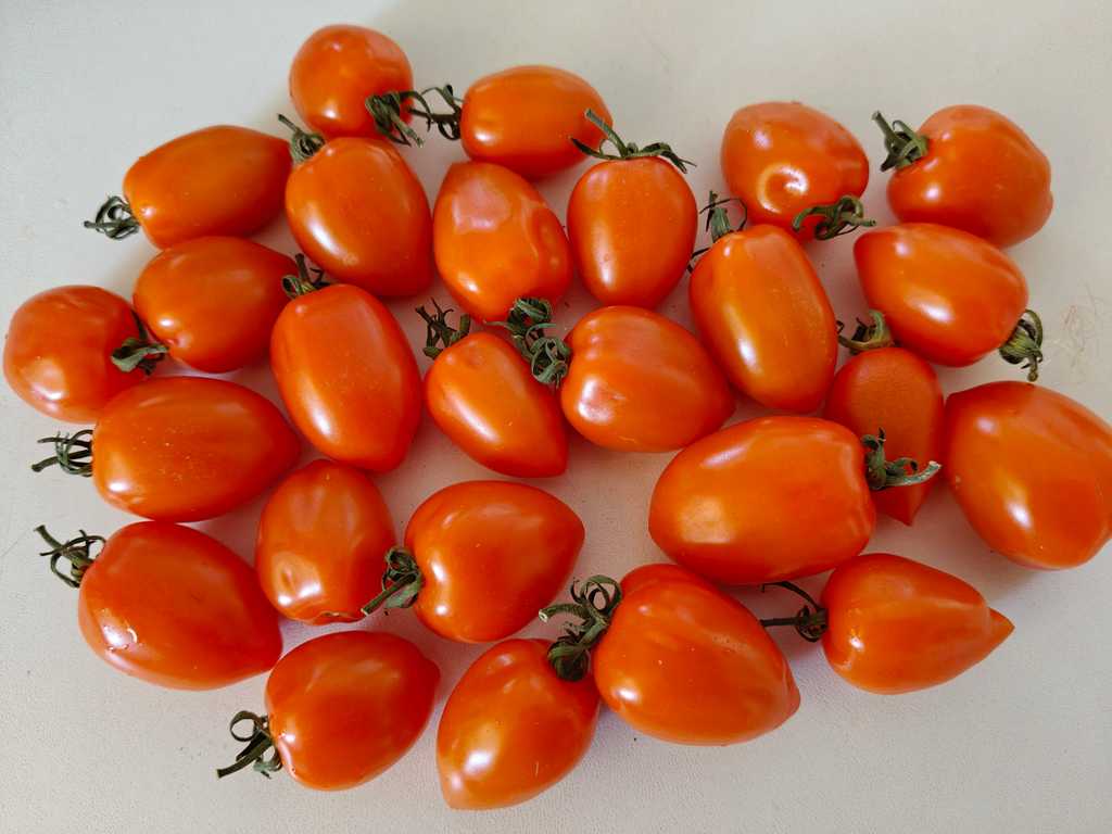 Klubnichka Oranzevaja