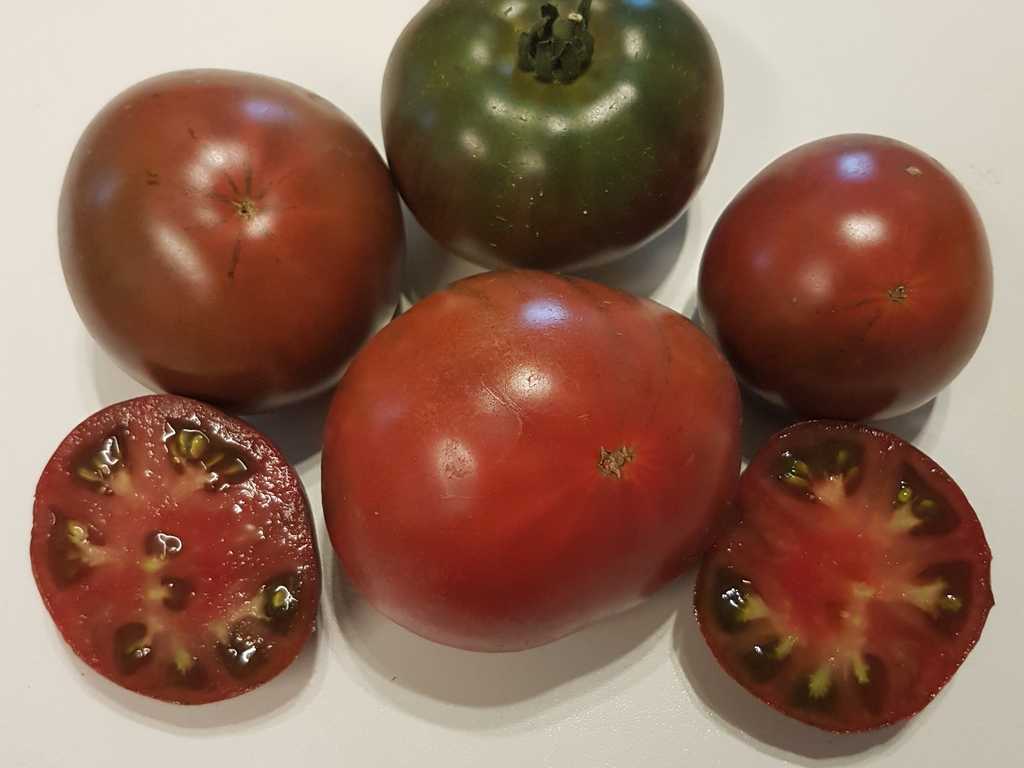 Kofe s molokom (Kafe med mjölk)